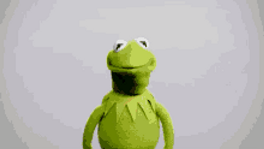 It Is Wednesday My Dudes Kermit GIF