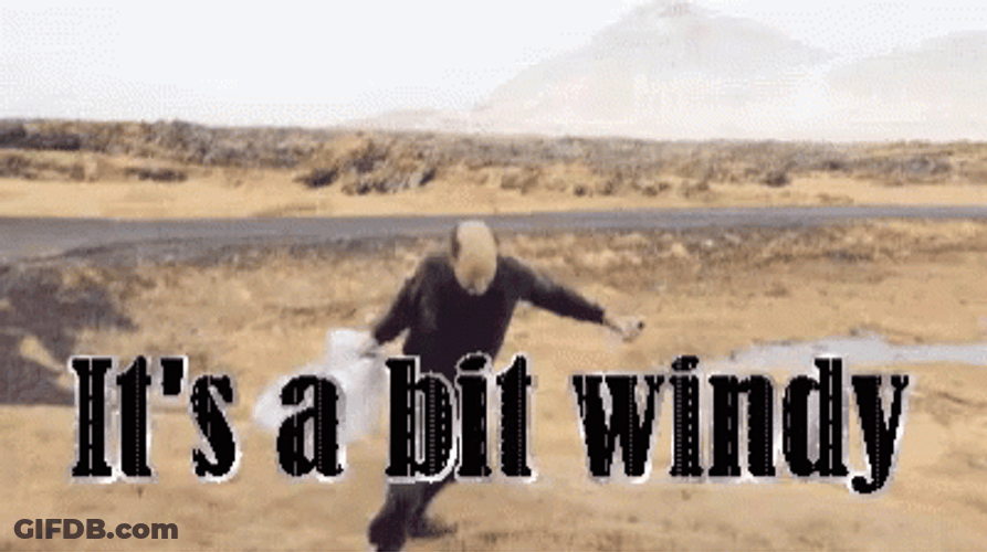 It's A Bit Windy GIF