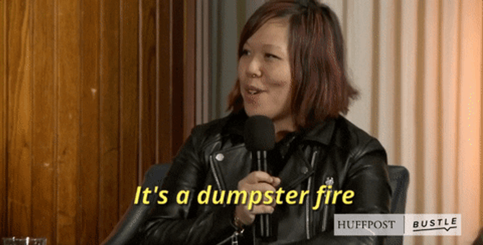 It's A Dumpster Fire Expression GIF
