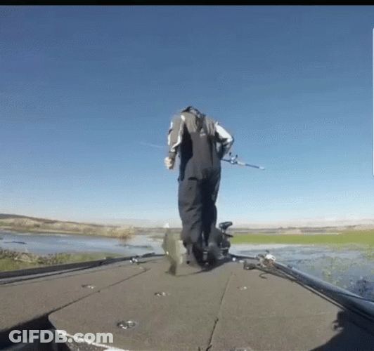 It's A Funny Fishing Day GIF