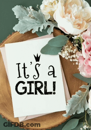 It's A Girl Greeting Card GIF
