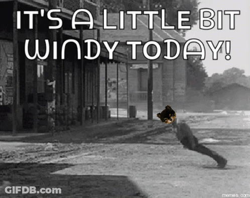 It's A Little Bit Windy Today GIF