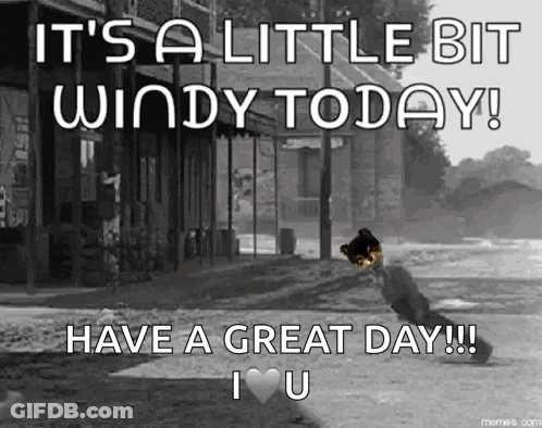 It's A Little Bit Windy Today Have A Great Day I Love You GIF