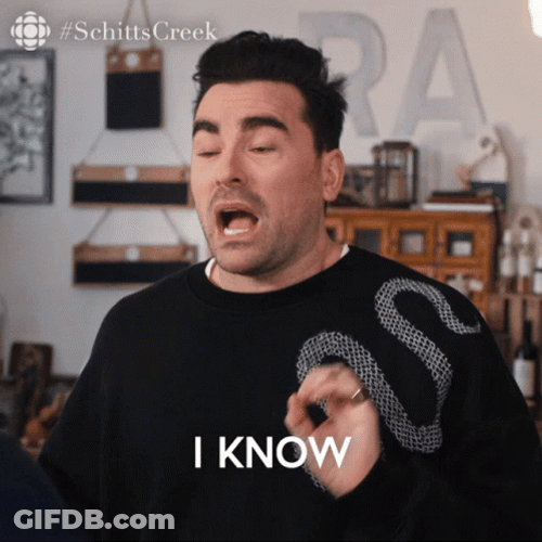 It's A Lot To Process David GIF