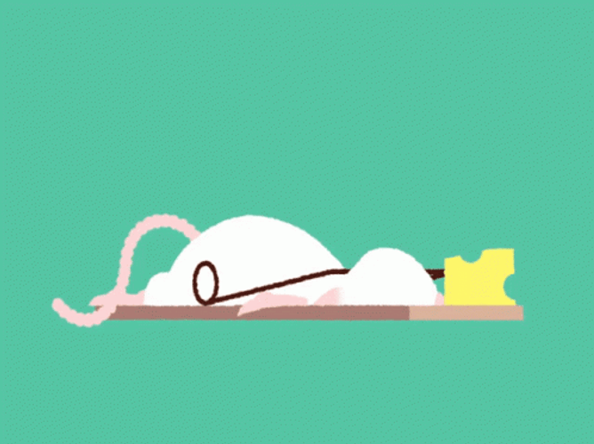 It's A Mouse Trap Cheese GIF