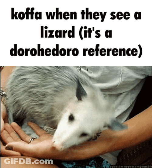 It's A Refer Dorohedoro Reference GIF