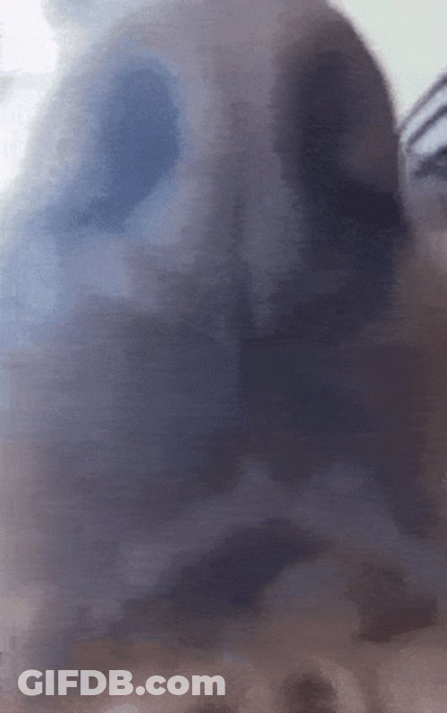 It's A Sniff Test GIF
