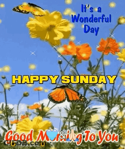 It 'S A Wonderful Day Happy Sunday Good Morning & Greeting To You GIF