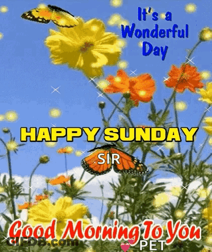 Wonderful Day Happy Sunday Morning GIF