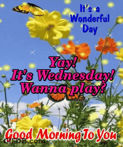 It 'S A Wonderful Day , Yay ! It 'S Wednesday ! Wanna Play ? Good Morning To You . GIF