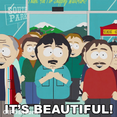 It's Beautiful Randy Marsh GIF