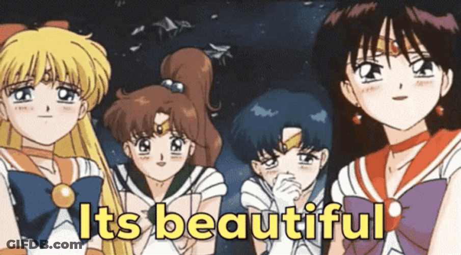 It's Beautiful Sailor Moon GIF