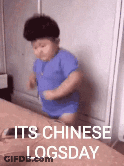 It's Chinese Logsday In China GIF