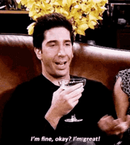 It's Fine I'm Great Ross Geller GIF
