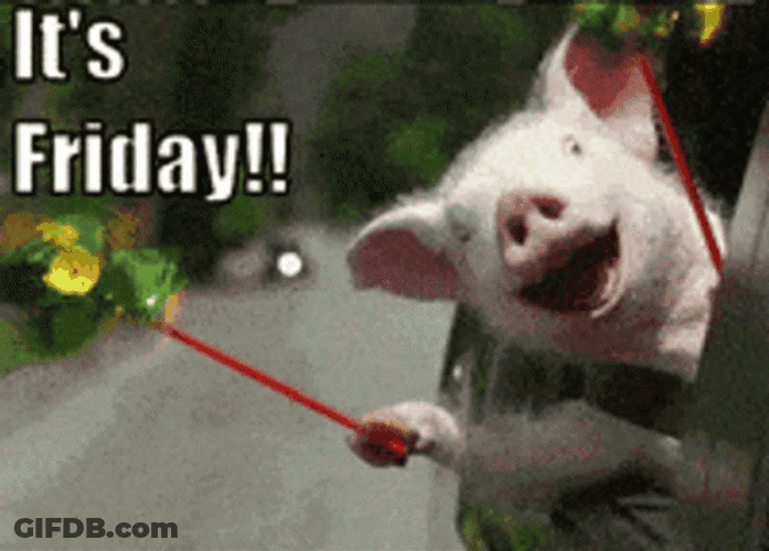 It's Friday Piggy Joy Ride GIF