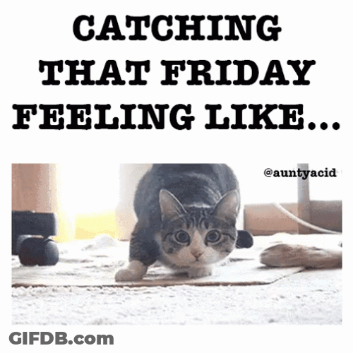 It's Friday Shaquille O'Neal GIF