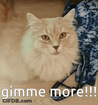 It's Go Time Netflix GIF