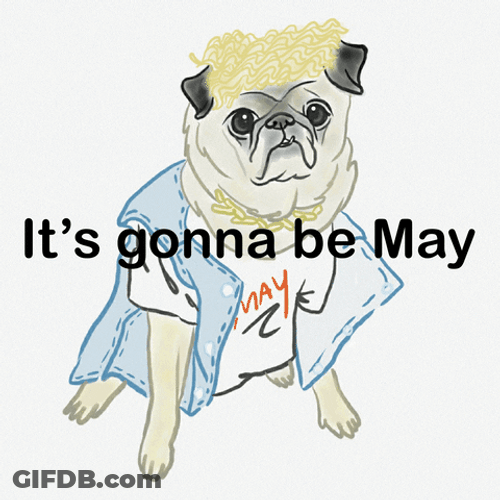 It's Gonna Be May Animated Justin Timberlake Dog GIF