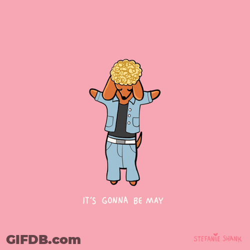 It's Gonna Be May Dancing Cute Dog GIF