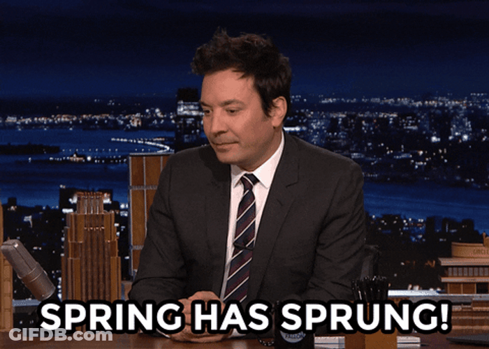 It's Gonna Be May Jimmy Fallon Tonight Show GIF