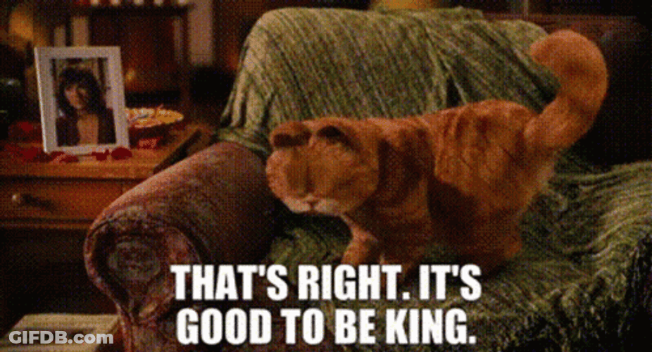 It's Good To Be King Garfield GIF