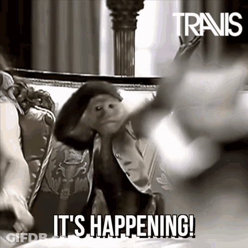 It's Happening Monkey Pointing Look GIF