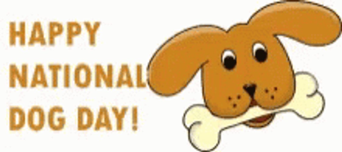 It's Happy Dog Day Everybody GIF