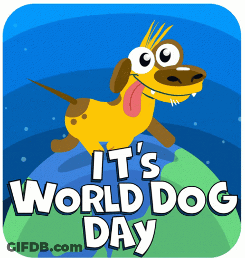 It's Happy World Dog Day Today GIF