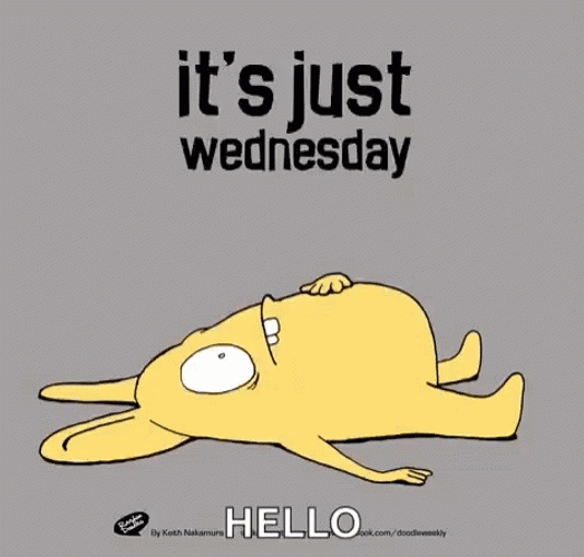 It's Just A Hilarious Wednesday GIF