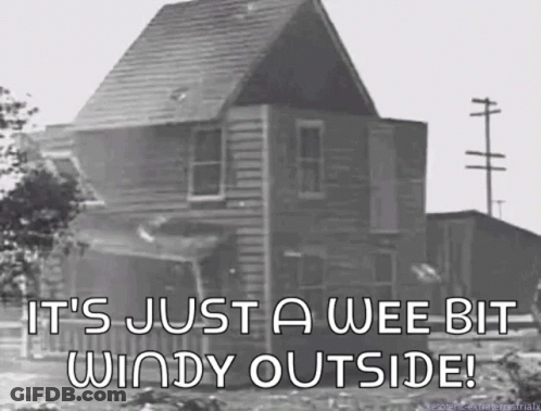 It's Just A Wee Bit Windy Outside GIF