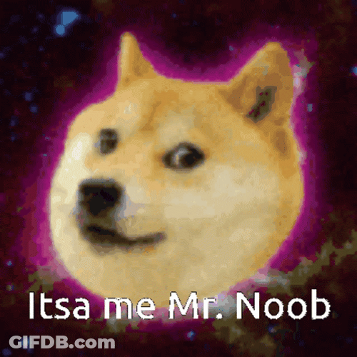 It's Me Mr. Noob GIF