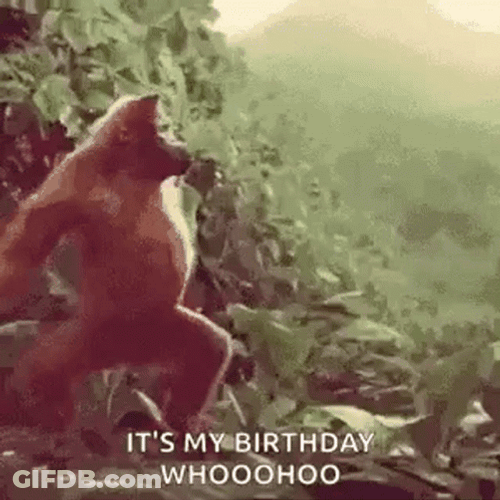 It's My Birthday Dancing Monkey GIF