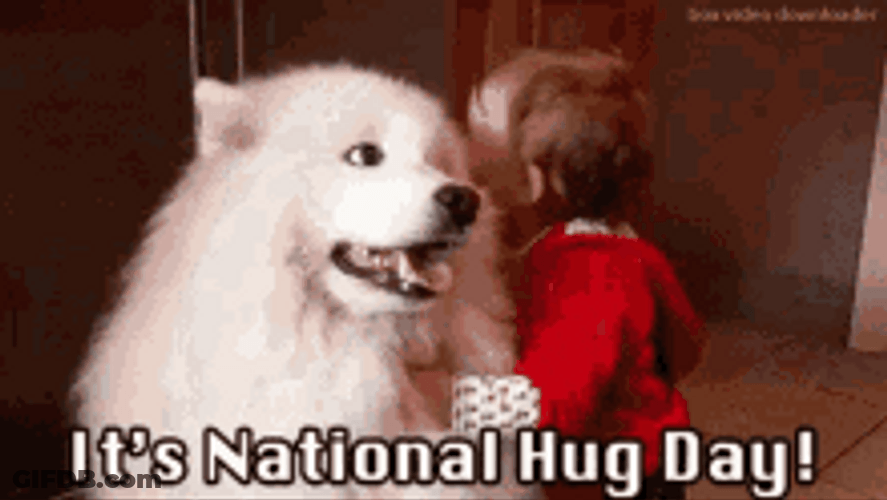 It's National Hug Day Dog Hug GIF