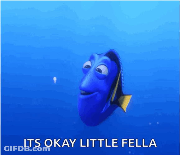 It's Okay Little Fella Finding Nemo GIF