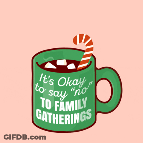 It's Okay To Say No To Thanksgiving Family GIF