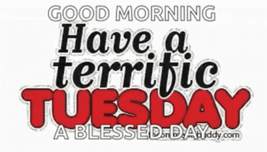 It's Only Terrific Tuesday GIF