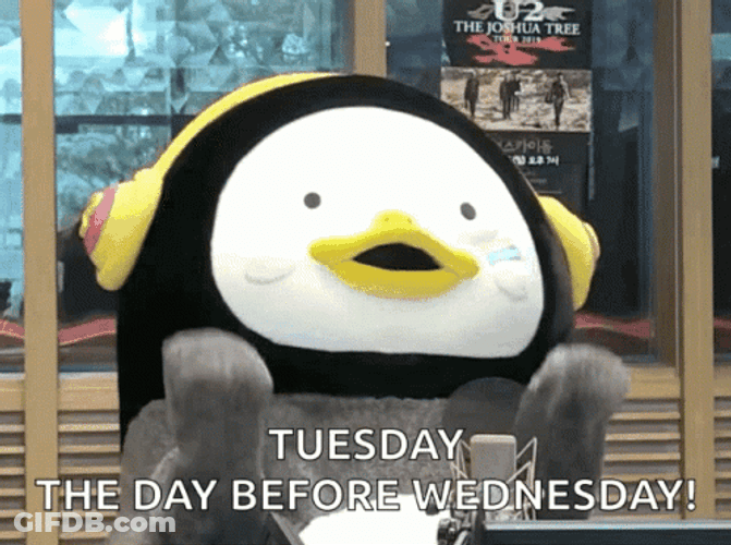 It's Only Tuesday Before Wednesday GIF