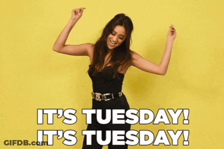 It's Only Tuesday Got Me Like GIF