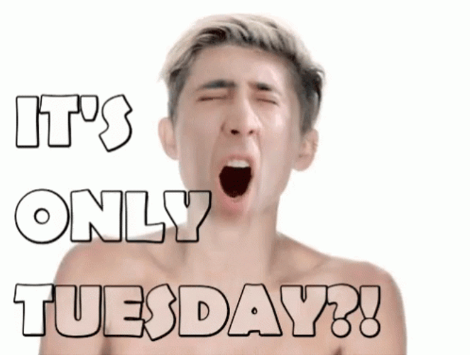It's Only Tuesday Survival Mode GIF