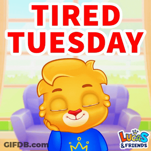 It's Only Tuesday Surviving Another GIF