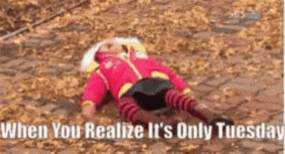 It's Only Tuesday Tantrums Girl GIF