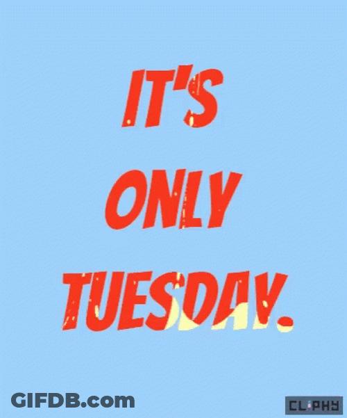 It's Only Tuesday Thing GIF