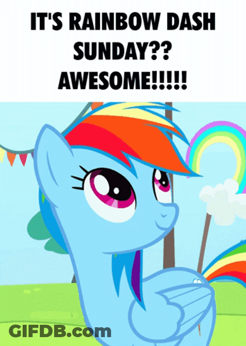 It's Rainbow Dash Cute Sunday GIF