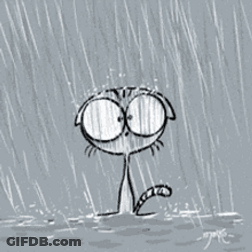 It's Raining Cute Curious Cat Lightning Shocked GIF