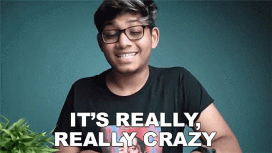 It's Really Crazy GIF