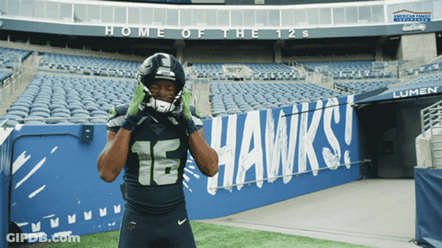 It's Seattle Seahawks Day GIF