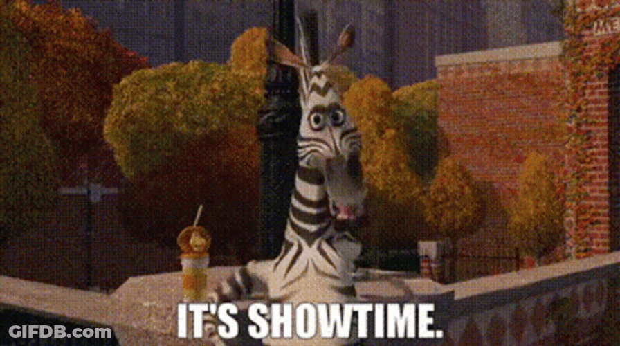 It's Showtime Marty The Zebra Madagascar GIF