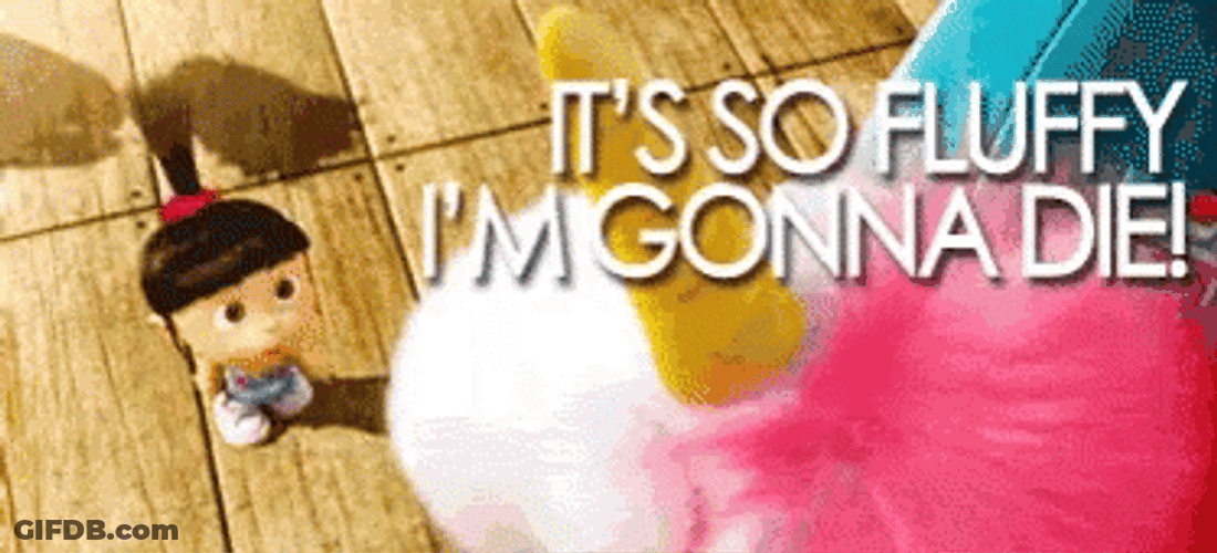 It's So Fluffy Amazed Agnes GIF