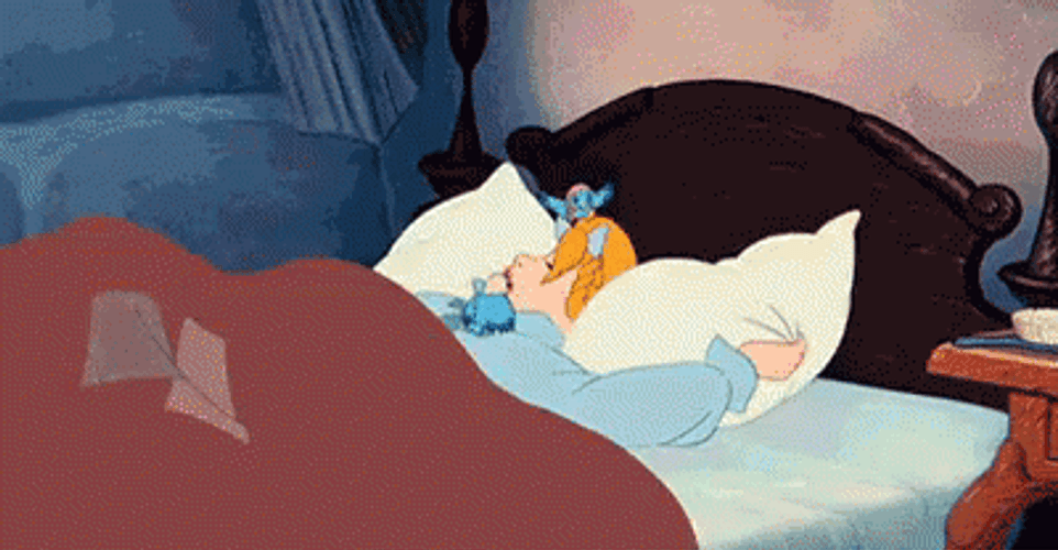 It's So Fluffy Cinderella Pillow GIF