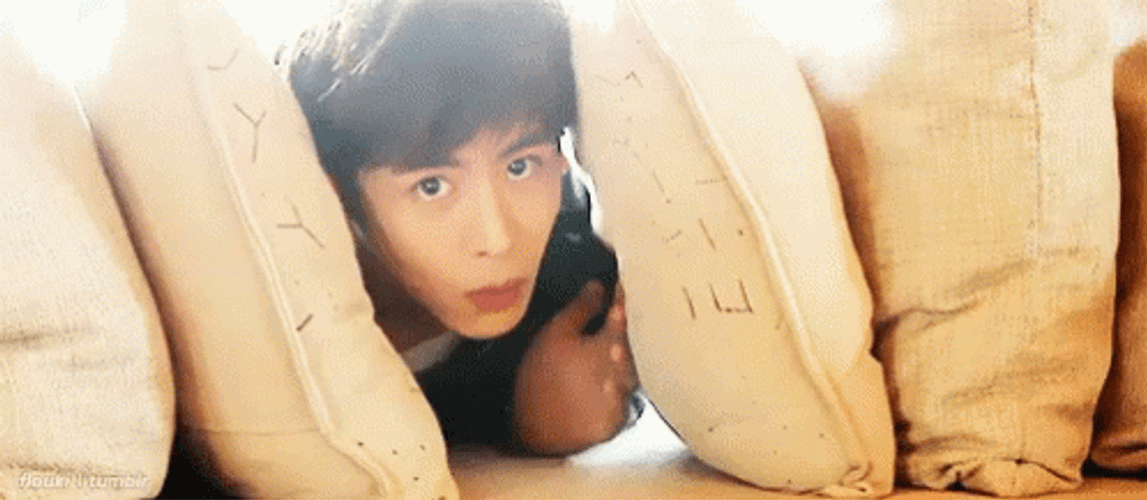It's So Fluffy Hiding On Pillows GIF